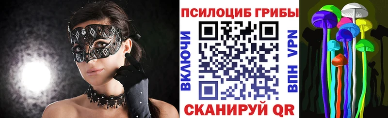 OMG ТОР  закладки  Светлый  Галлюциногенные грибы Cubensis 